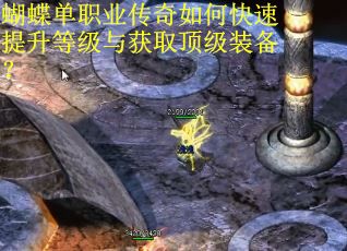 蝴蝶单职业传奇如何快速提升等级与获取顶级装备？