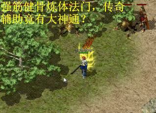 强筋健骨炼体法门，传奇辅助竟有大神通？