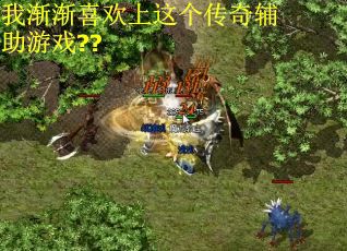 我渐渐喜欢上这个传奇辅助游戏?? 我渐渐喜欢上这个传奇辅助游戏??