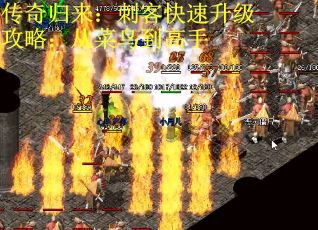 传奇归来：刺客快速升级攻略：从菜鸟到高手