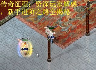 传奇征程：资深玩家解惑，新手进阶之路全揭秘