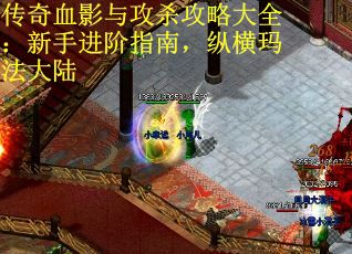传奇血影与攻杀攻略大全：新手进阶指南，纵横玛法大陆