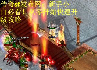 传奇sf发布网：新手小白必看！从零开始快速升级攻略