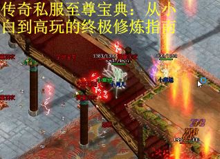 传奇私服至尊宝典：从小白到高玩的终极修炼指南