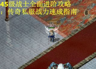 45级战士全面进阶攻略：传奇私服战力速成指南