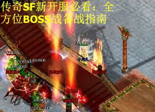 传奇SF新开服必看：全方位BOSS战备战指南