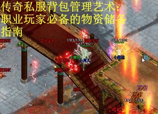 传奇私服背包管理艺术：职业玩家必备的物资储备指南