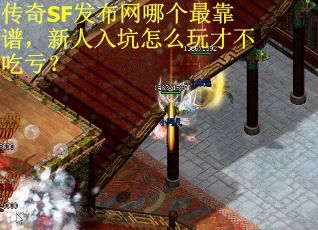 传奇SF发布网哪个最靠谱，新人入坑怎么玩才不吃亏？