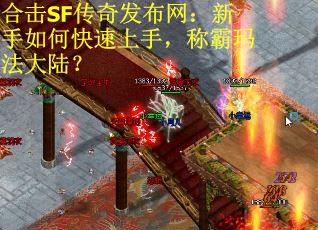 合击SF传奇发布网：新手如何快速上手，称霸玛法大陆？