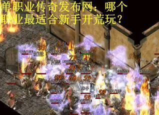 单职业传奇发布网：哪个职业最适合新手开荒玩？