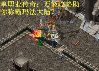 单职业传奇：万能攻略助你称霸玛法大陆？