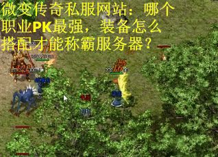 微变传奇私服网站：哪个职业PK最强，装备怎么搭配才能称霸服务器？
