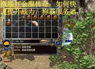微端打金服传奇：如何快速提升战力，称霸服务器？