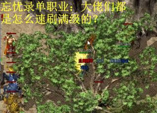 忘忧录单职业：大佬们都是怎么速刷满级的？
