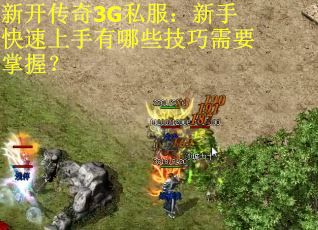 新开传奇3G私服：新手快速上手有哪些技巧需要掌握？