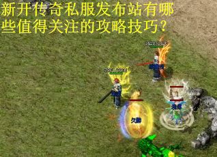 新开传奇私服发布站有哪些值得关注的攻略技巧？