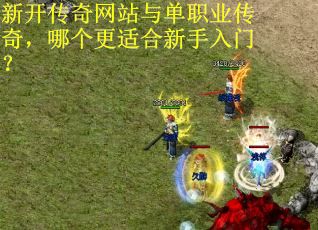 新开传奇网站与单职业传奇，哪个更适合新手入门？