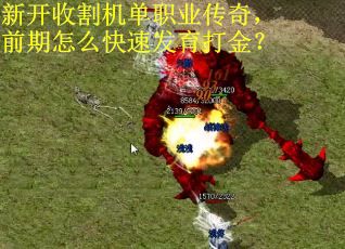 新开收割机单职业传奇，前期怎么快速发育打金？