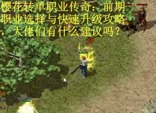 樱花转单职业传奇：前期职业选择与快速升级攻略，大佬们有什么建议吗？