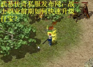 武易传奇私服发布网：战士职业前期如何快速升级打宝？