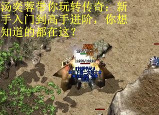 汤奕蓉带你玩转传奇：新手入门到高手进阶，你想知道的都在这？
