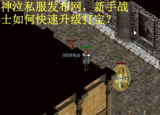 神泣私服发布网，新手战士如何快速升级打宝？