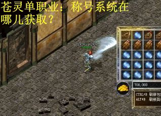 苍灵单职业：称号系统在哪儿获取？