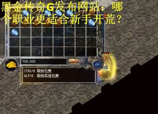 黑金传奇G发布网站：哪个职业更适合新手开荒？