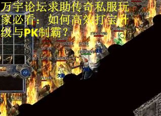 万宇论坛求助传奇私服玩家必看：如何高效打宝升级与PK制霸？