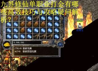 九界修仙单职业打金有哪些高效技巧与攻略疑问解析？