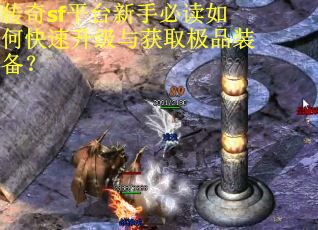 传奇sf平台新手必读如何快速升级与获取极品装备？