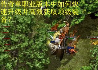 传奇单职业版本中如何快速升级并高效获取顶级装备？