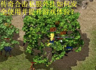 传奇合击私服外挂如何安全使用并提升游戏体验？