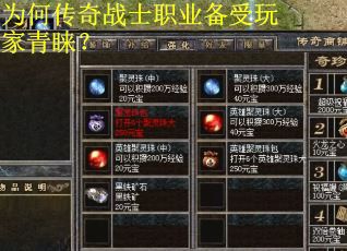 为何传奇战士职业备受玩家青睐? 为何传奇战士职业备受玩家青睐?