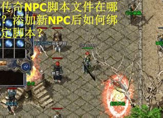 传奇NPC脚本文件在哪？添加新NPC后如何绑定脚本？