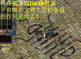 传奇服务端DATA目录下有哪些文件？它们各自的作用是什么？