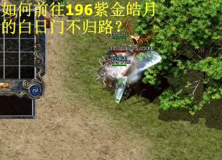 如何前往196紫金皓月的白日门不归路？