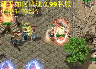 新手如何快速在99私服中提升等级？