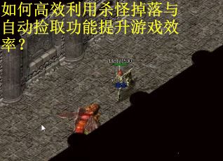 如何高效利用杀怪掉落与自动捡取功能提升游戏效率？