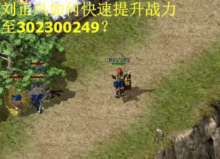 刘正风如何快速提升战力至302300249？