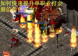 如何快速提升单职业打金服的角色实力？