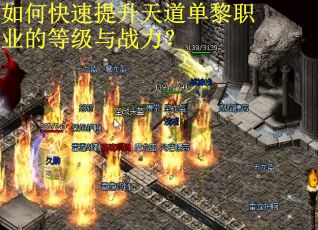 如何快速提升天道单黎职业的等级与战力？