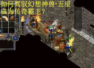 如何驾驭幻想神兽·五星成为传奇霸主？