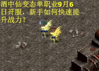 酒中仙变态单职业9月6日开服，新手如何快速提升战力？