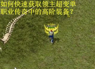 如何快速获取领主超变单职业传奇中的高阶装备？