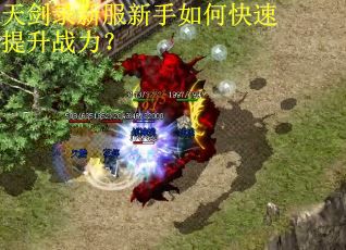 天剑录新服新手如何快速提升战力？